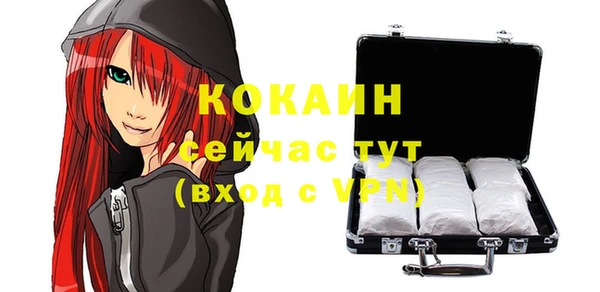 соль ск Абаза