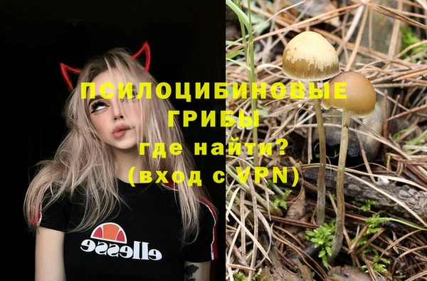 каннабис Алзамай