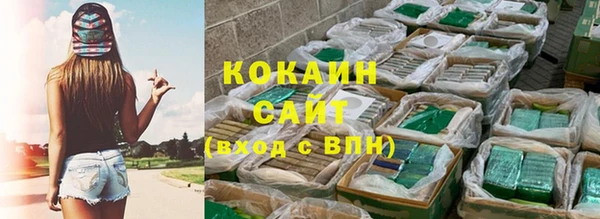 соль ск Абаза