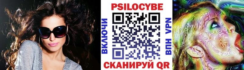 мориарти Telegram  Звенигород  Галлюциногенные грибы Cubensis  продажа наркотиков 