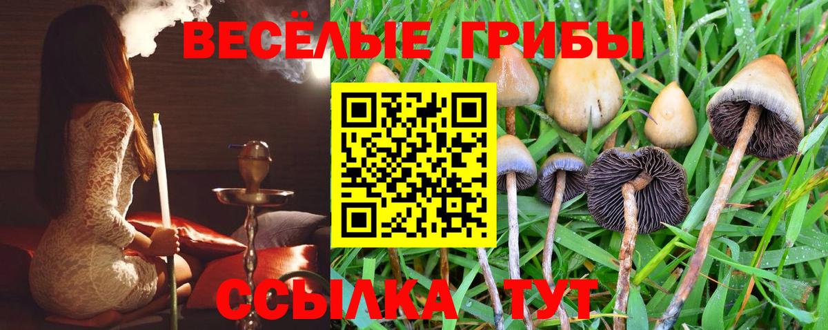 Звенигород  Галлюциногенные грибы мицелий  Вход с VPN 