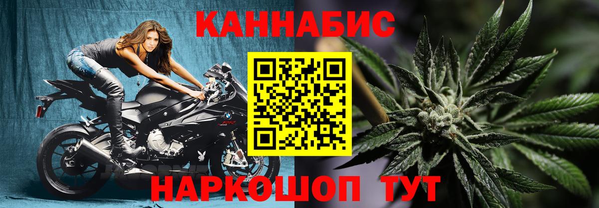 Конопля Звенигород